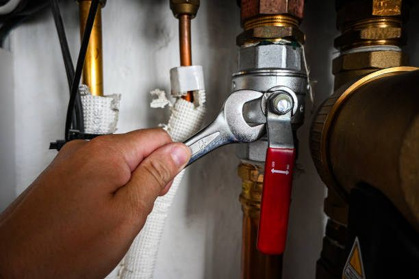 Best Residential Plumbing Services  in Princeton, KY